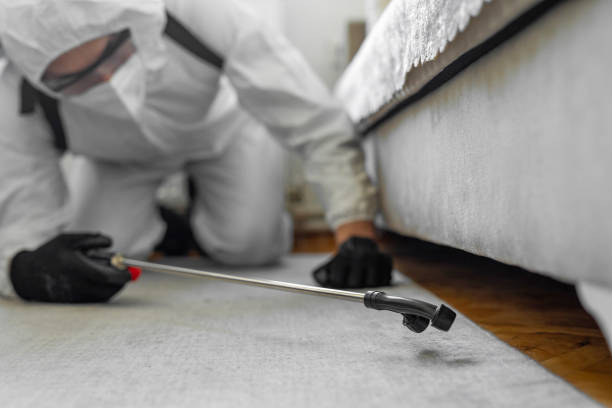 Professional Termite Control technician working in Mattydale, NY