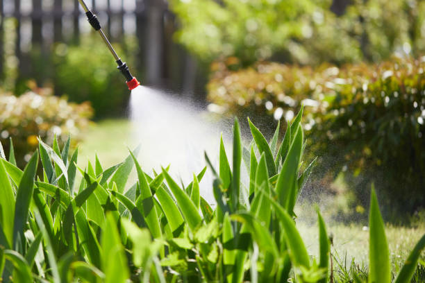 24/7 Emergency Termite Control experts in Mattydale, NY