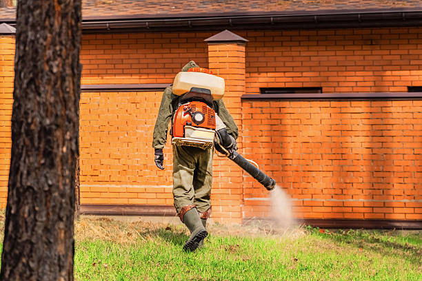 Trusted Bed Bug Control service in Mattydale, NY - Nex Pest Control